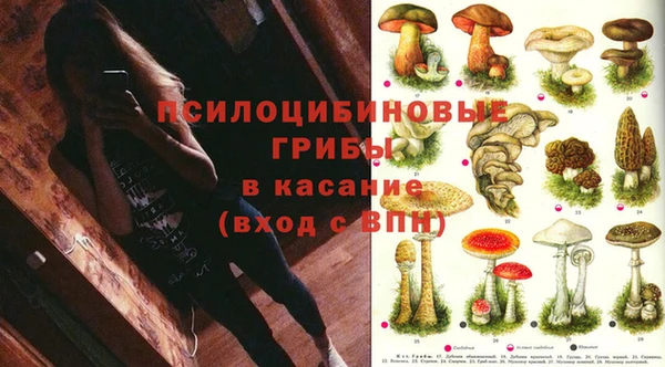 прущая мука Арсеньев
