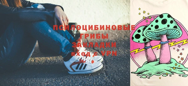 прущая мука Арсеньев