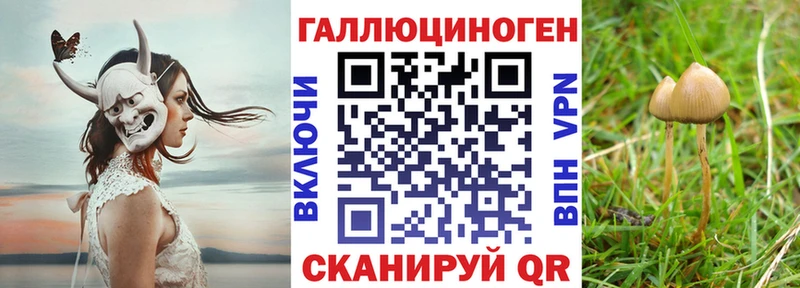 Псилоцибиновые грибы ЛСД  гидра как войти  Рошаль  где купить  