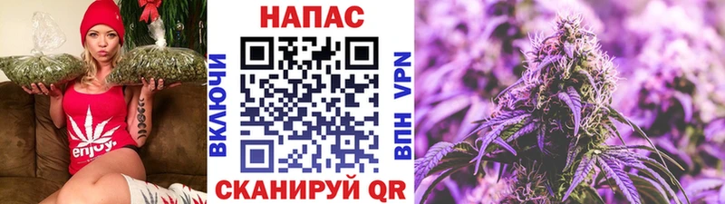 наркота  Рошаль  Канабис ГИДРОПОН 